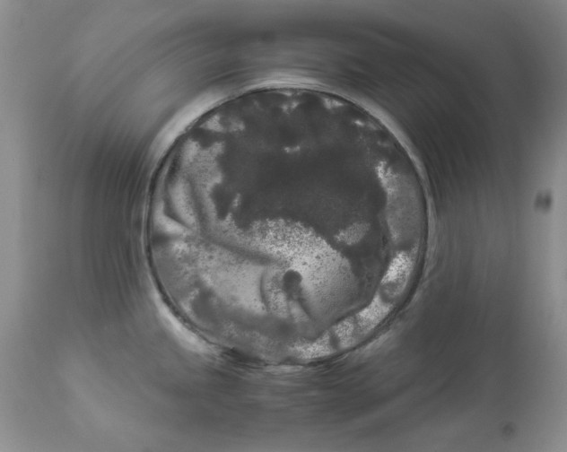 X0000112901245200909181928