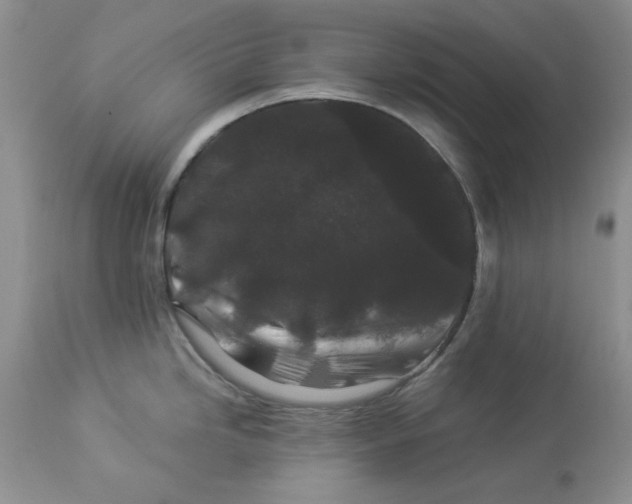 X0000112901246200909181928