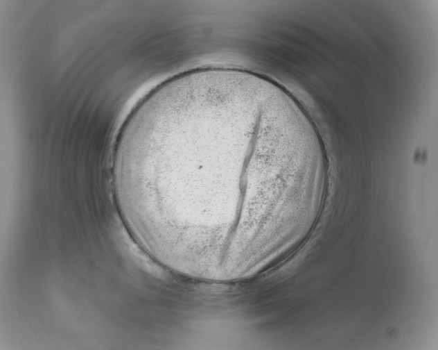 X0000112901248200909181928