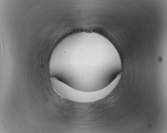 X0000112901249200909181927