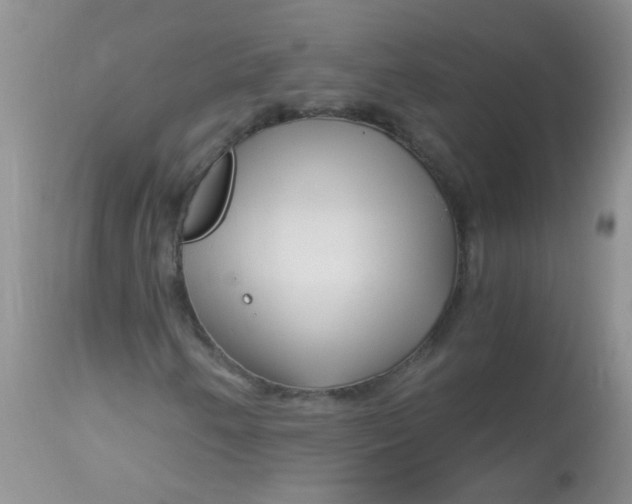 X0000112901250200909181927