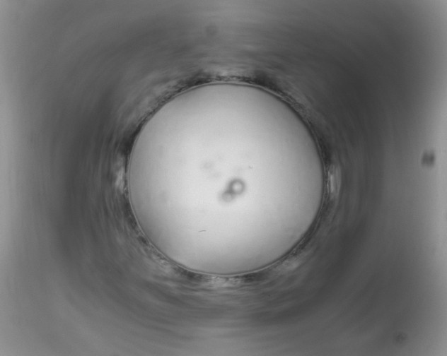 X0000112901251200909181927