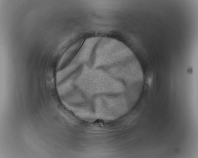 X0000112901252200909181927