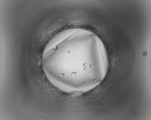 X0000112901253200909181927