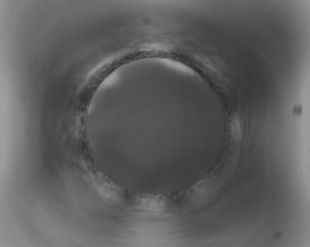 X0000112901254200909181927
