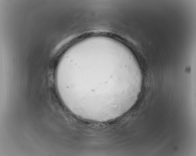 X0000112901255200909181927