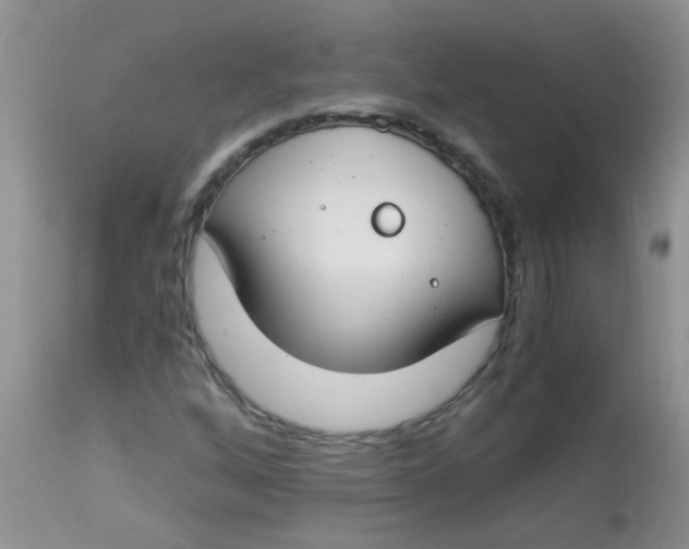 X0000112901256200909181927