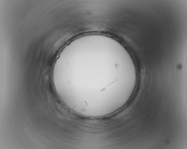 X0000112901257200909181927