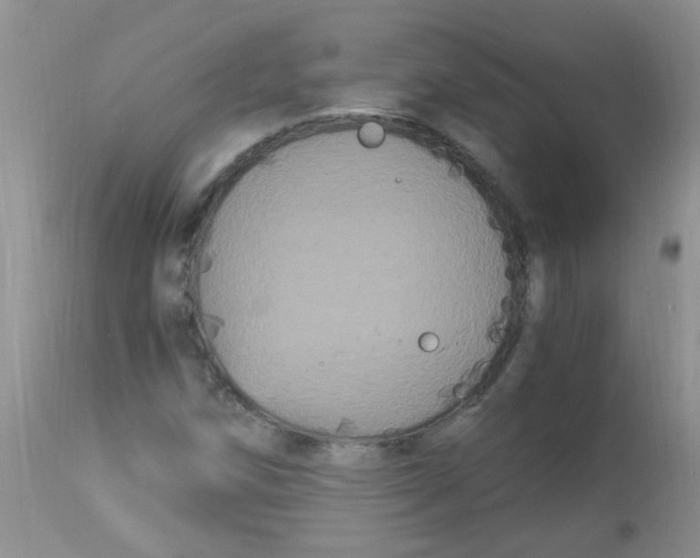 X0000112901258200909181927