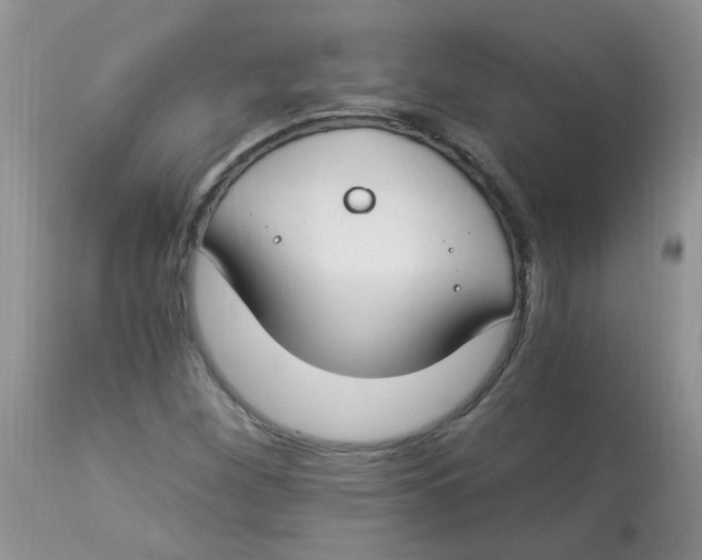 X0000112901260200909181927