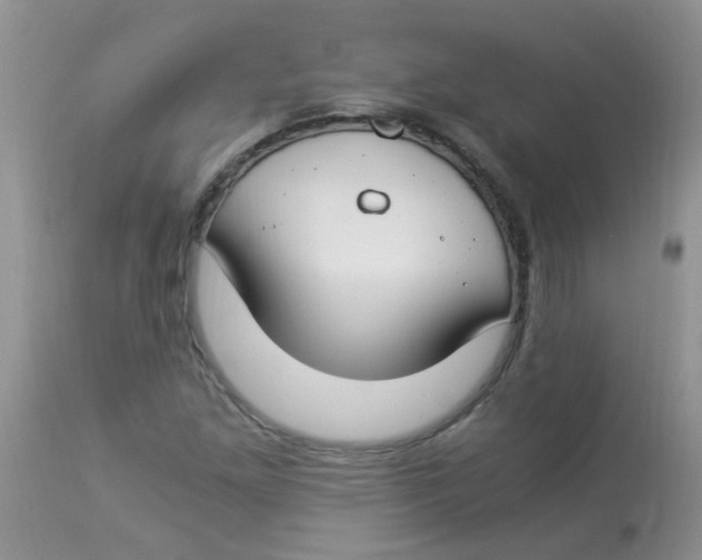 X0000112901261200909181927