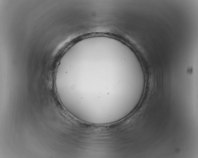 X0000112901262200909181927