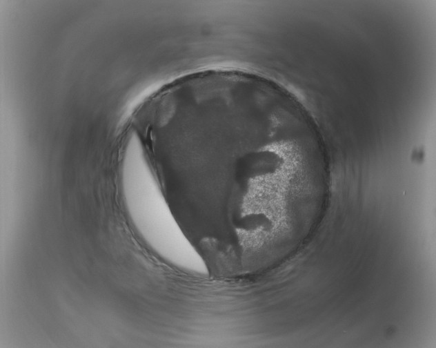 X0000112901263200909181927