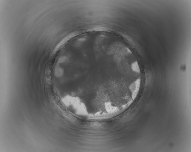 X0000112901266200909181927