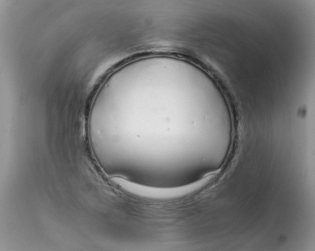 X0000112901267200909181927