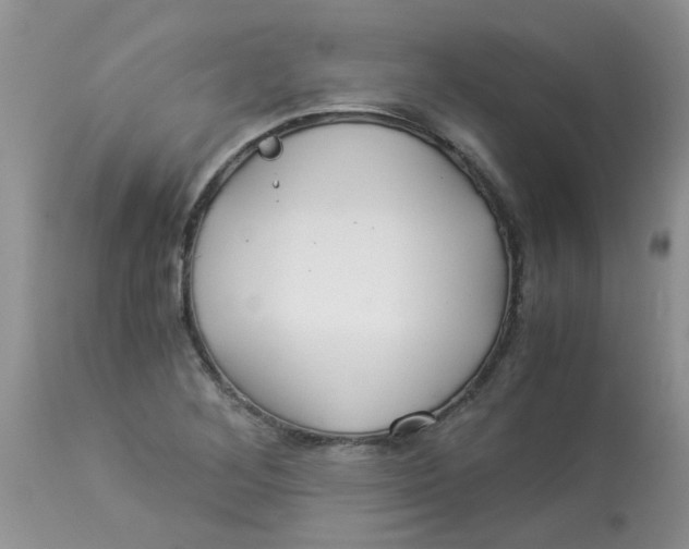 X0000112901268200909181927