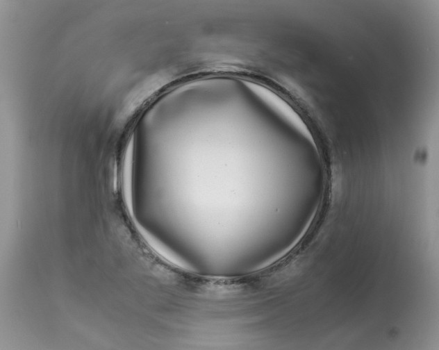 X0000112901269200909181927