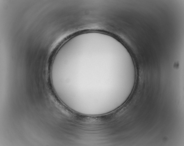 X0000112901270200909181927