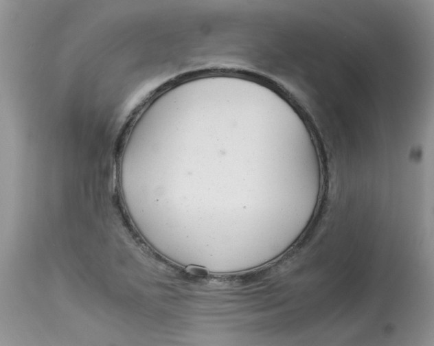 X0000112901271200909181927