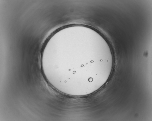 X0000112901272200909181927