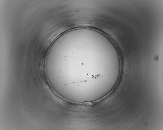 X0000112901273200909181927