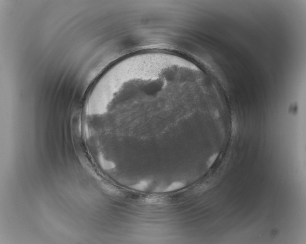 X0000112901274200909181927