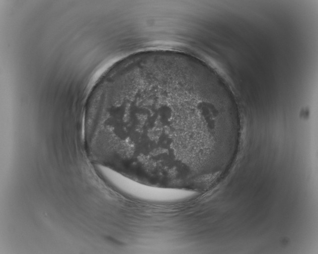 X0000112901275200909181927