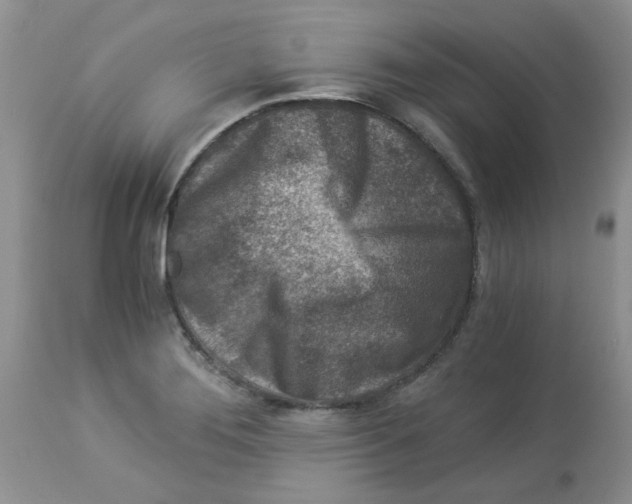 X0000112901276200909181927