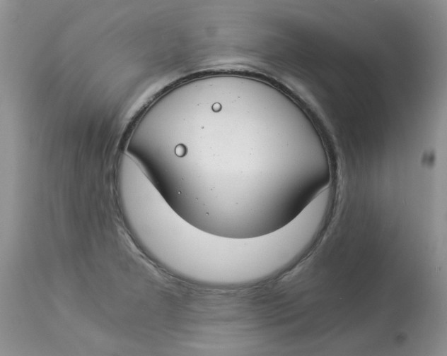 X0000112901277200909181927