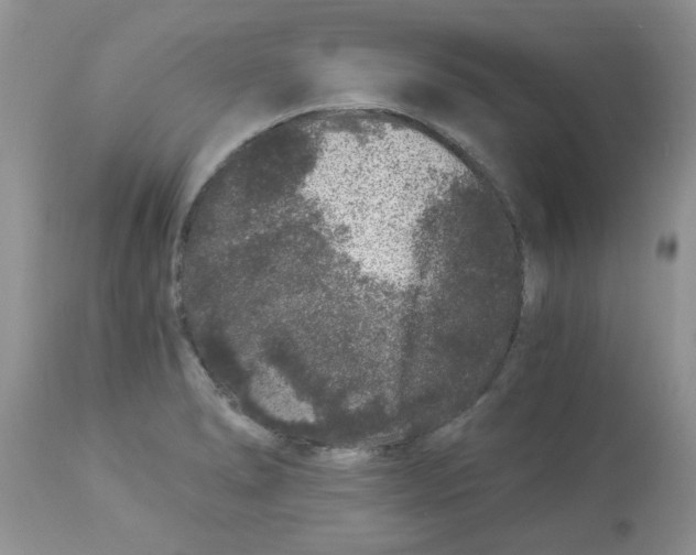 X0000112901278200909181927