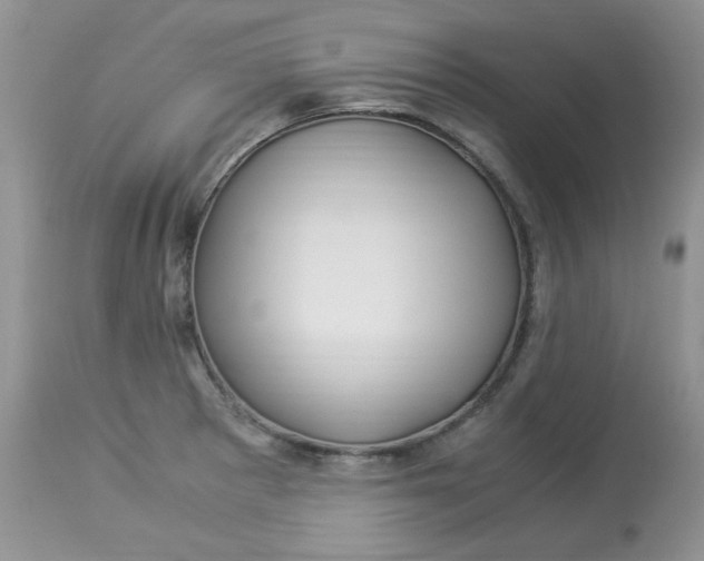 X0000112901281200909181927