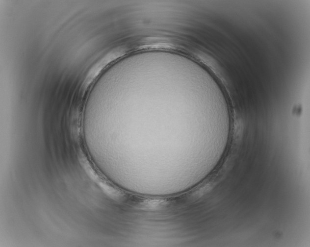 X0000112901282200909181927