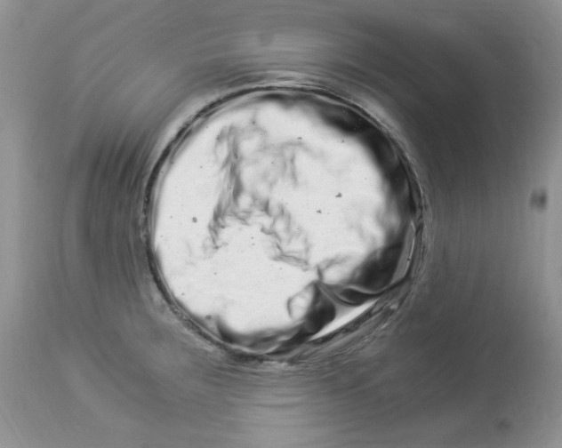 X0000112901283200909181927