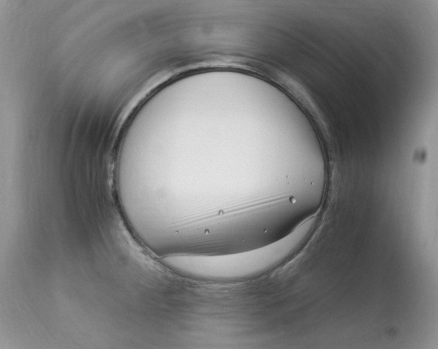 X0000112901284200909181927