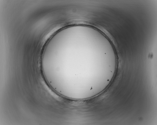 X0000112901285200909181927