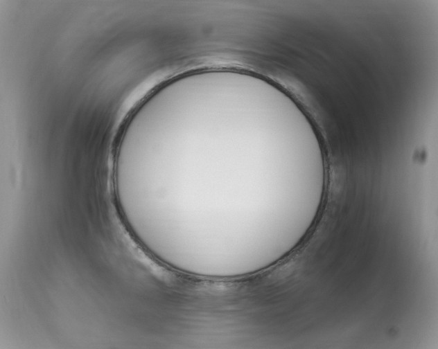 X0000112901286200909181927