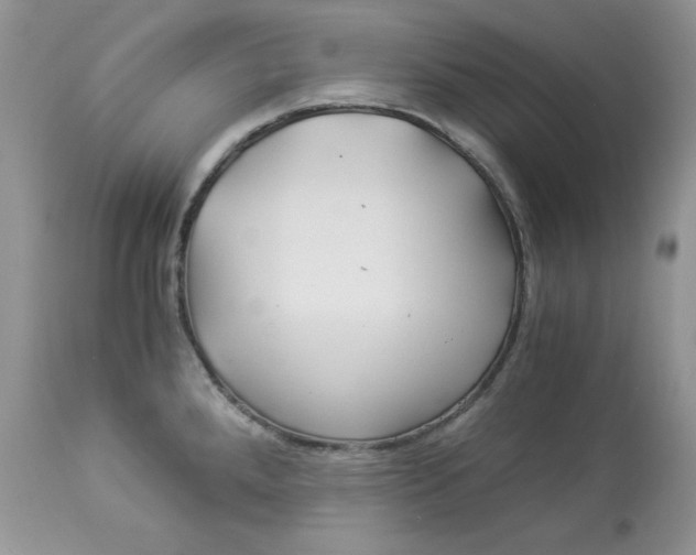 X0000112901288200909181927