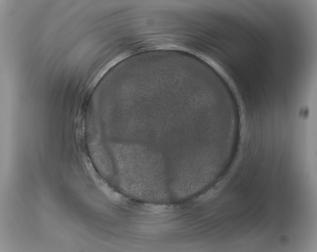 X0000112901289200909181927