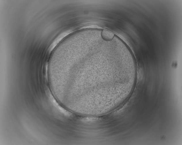X0000112901290200909181927