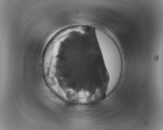 X0000112901291200909181927