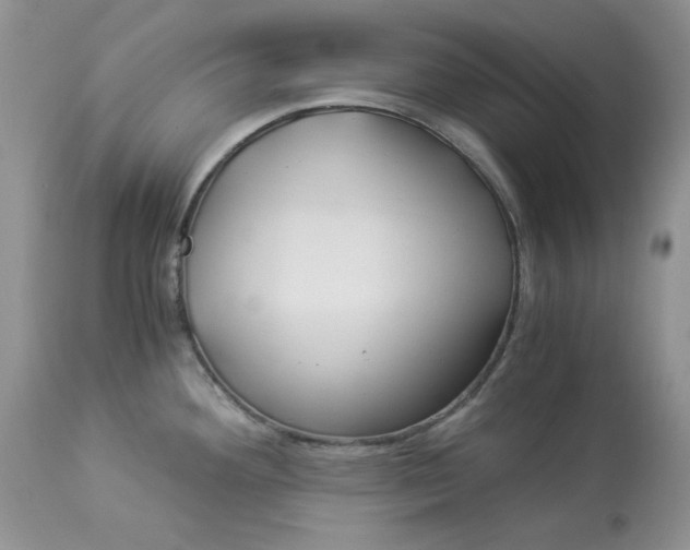 X0000112901292200909181927