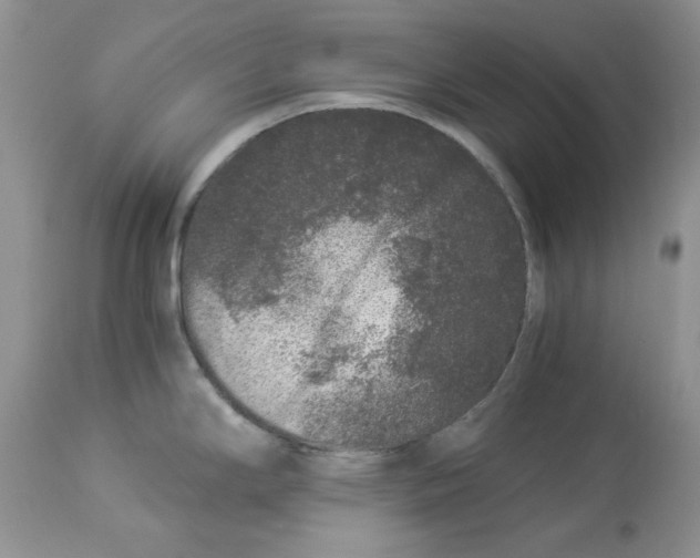 X0000112901294200909181927