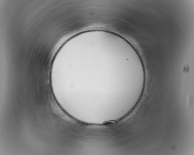 X0000112901296200909181927