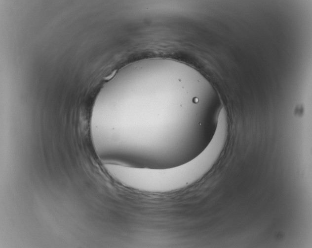 X0000112901298200909181926