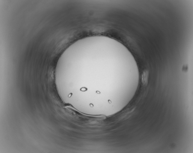 X0000112901299200909181926