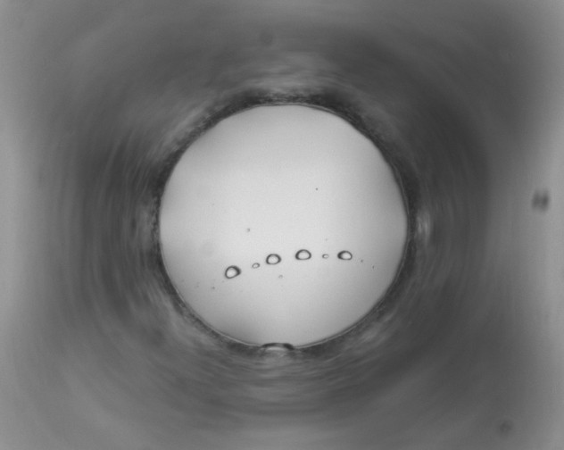 X0000112901300200909181926