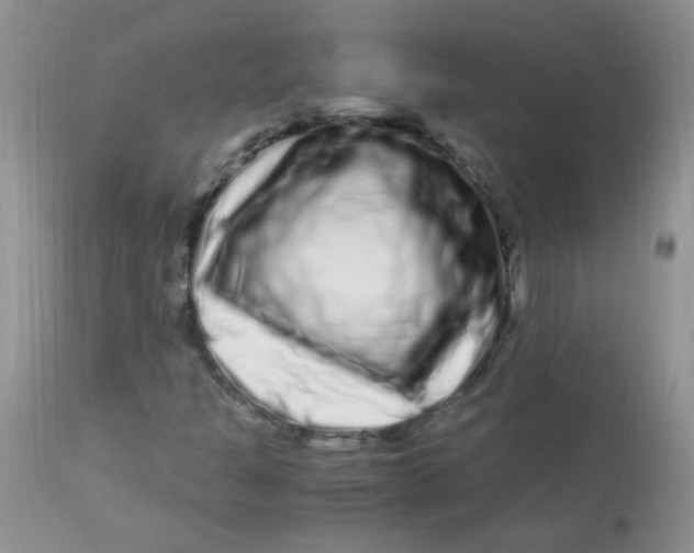 X0000112901301200909181926