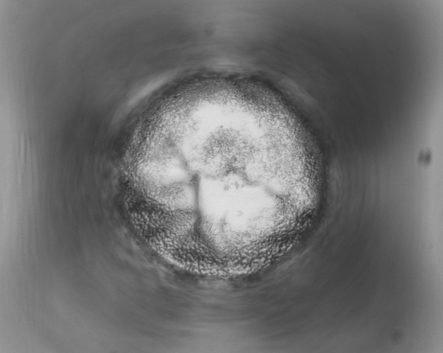 X0000112901302200909181926
