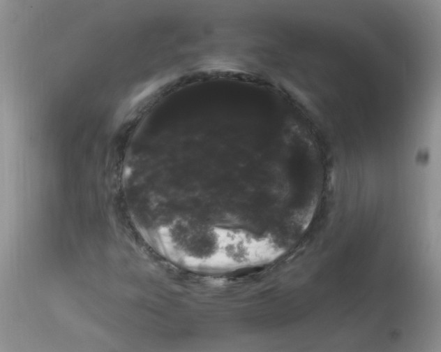 X0000112901303200909181926