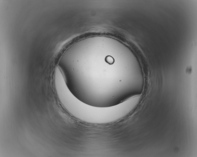 X0000112901304200909181926